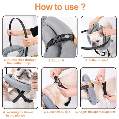 Purilite Select Blind Dog Safety Collar