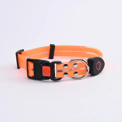 Purilite Select LED Light-Up Dog Leash & Collar