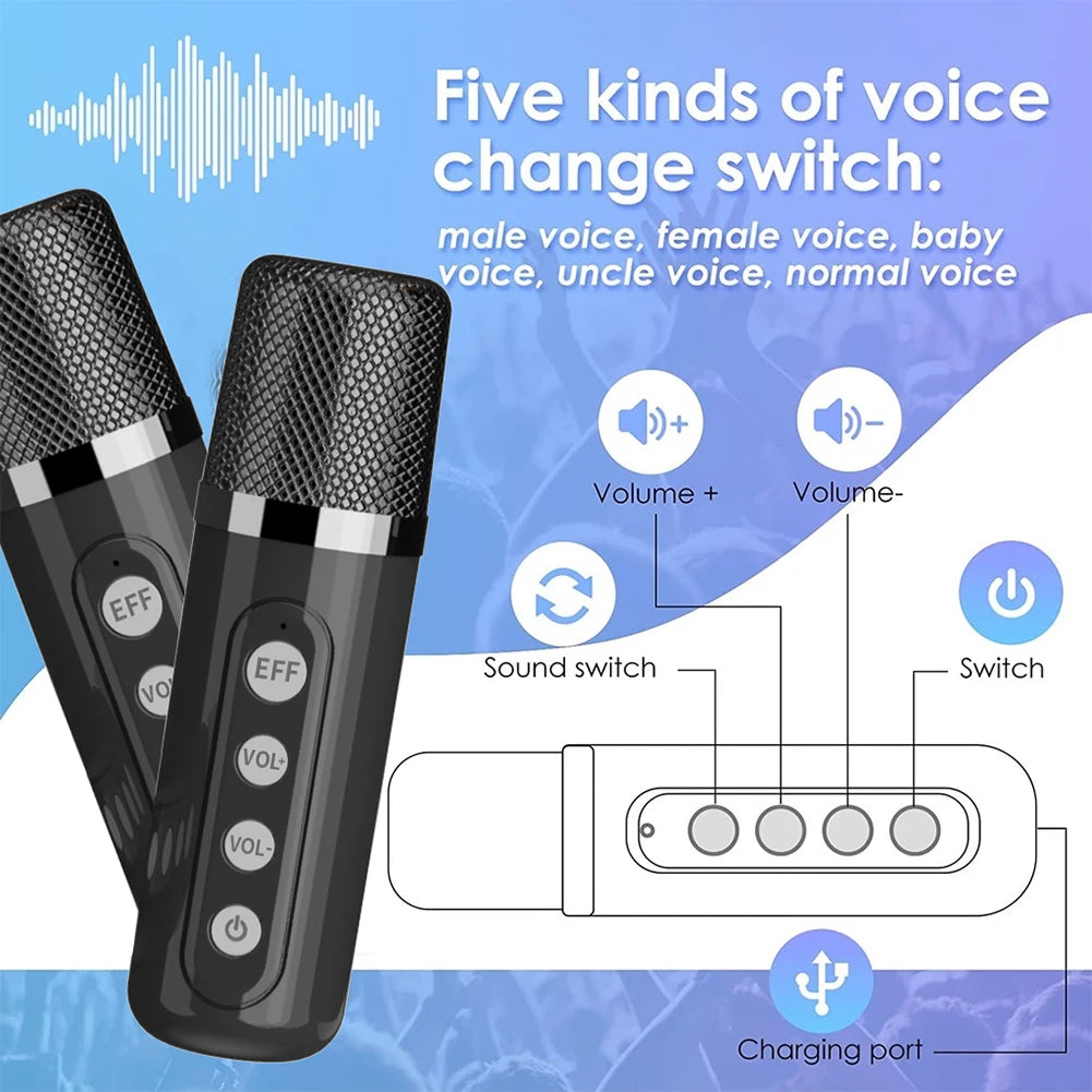 Purilite Select Portable Dual Microphone Karaoke Machine