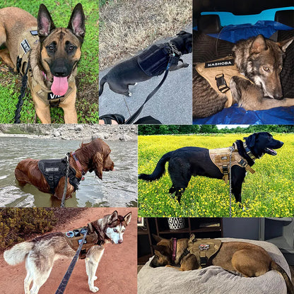 Purilite Select Military Large Dog Harness