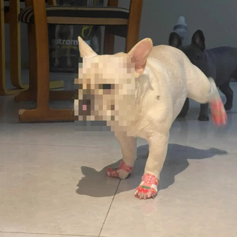 Purilite Select Dog Summer Sandals