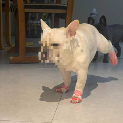 Purilite Select Dog Summer Sandals